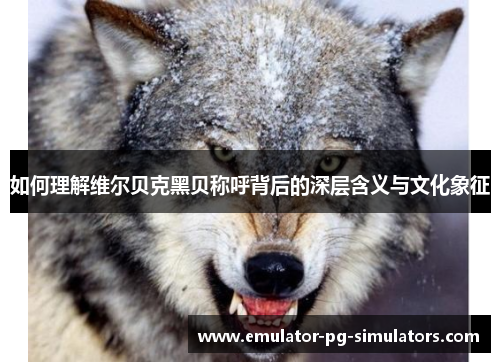 如何理解维尔贝克黑贝称呼背后的深层含义与文化象征