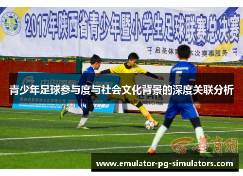 青少年足球参与度与社会文化背景的深度关联分析