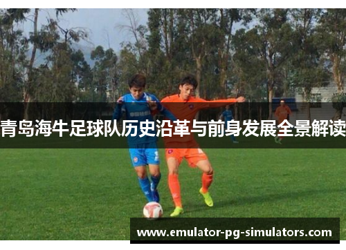 青岛海牛足球队历史沿革与前身发展全景解读 青岛海牛足球队历史沿革与前身发展全景解读