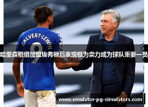 哈里森租借加盟埃弗顿后表现极为卖力成为球队重要一员