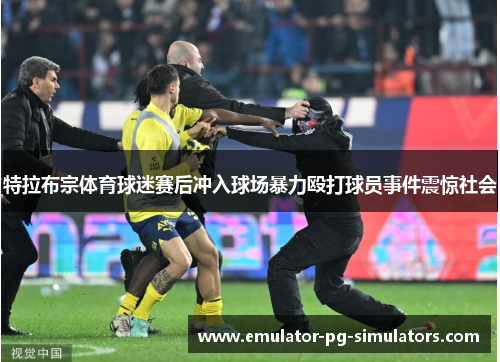 特拉布宗体育球迷赛后冲入球场暴力殴打球员事件震惊社会